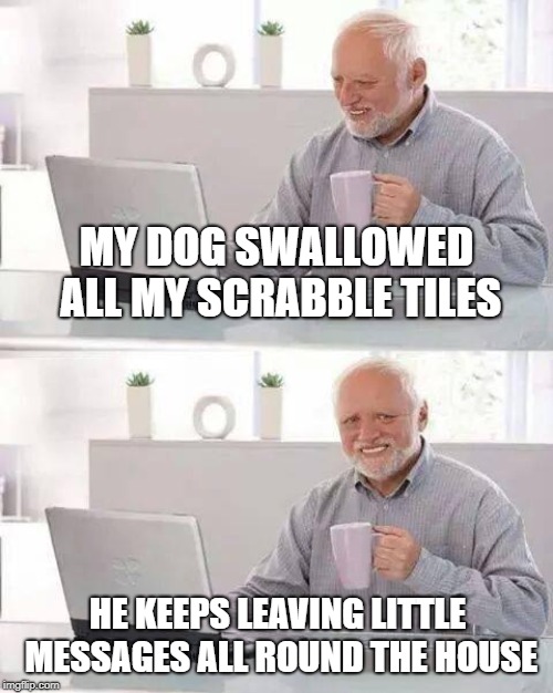 Hide the Pain Harold Meme | MY DOG SWALLOWED ALL MY SCRABBLE TILES; HE KEEPS LEAVING LITTLE MESSAGES ALL ROUND THE HOUSE | image tagged in memes,hide the pain harold | made w/ Imgflip meme maker