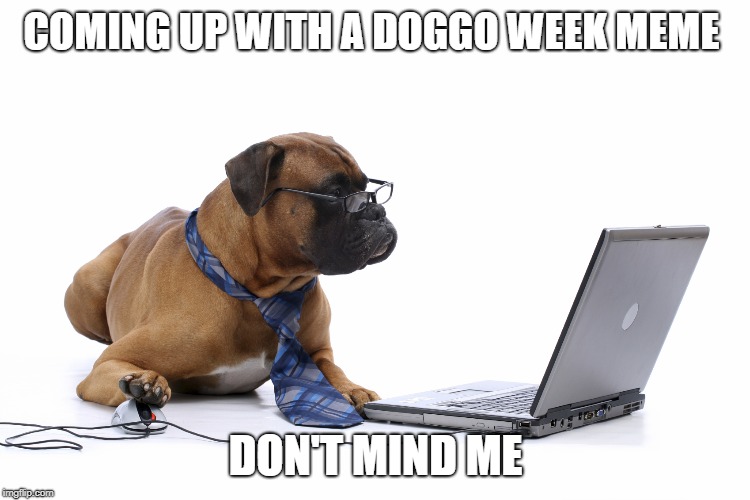 Doggo Week March 10-16 a Blaze_the_Blaziken and 1forpeace Event
 | COMING UP WITH A DOGGO WEEK MEME; DON'T MIND ME | image tagged in memes,doggo week,dogs,computers | made w/ Imgflip meme maker