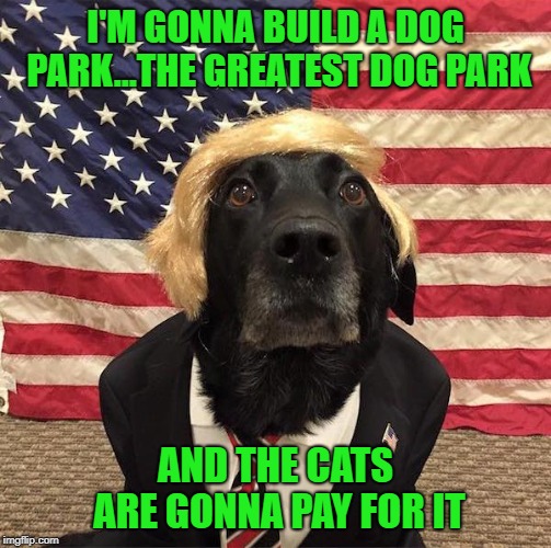 Doggo Week March 10-16 a Blaze_the_Blaziken and 1forpeace Event | I'M GONNA BUILD A DOG PARK...THE GREATEST DOG PARK; AND THE CATS ARE GONNA PAY FOR IT | image tagged in dog trump,memes,dog park,funny,animals,cats | made w/ Imgflip meme maker