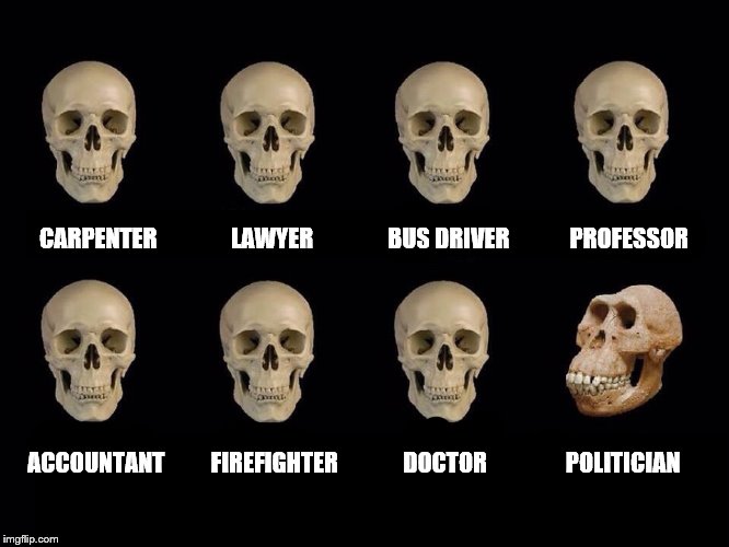 Maybe phrenology isn't completely dead? | CARPENTER                LAWYER                BUS DRIVER             PROFESSOR; ACCOUNTANT          FIREFIGHTER              DOCTOR                 POLITICIAN | image tagged in idiot skull,careers | made w/ Imgflip meme maker