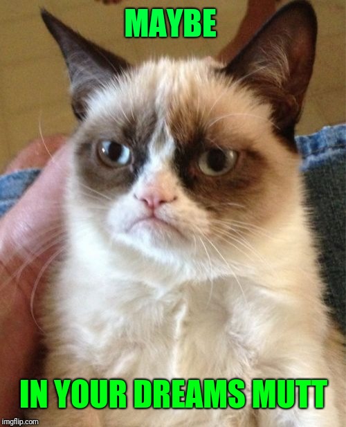 Grumpy Cat Meme | MAYBE IN YOUR DREAMS MUTT | image tagged in memes,grumpy cat | made w/ Imgflip meme maker