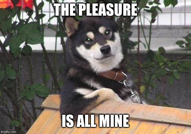 Cool dog | THE PLEASURE IS ALL MINE | image tagged in cool dog | made w/ Imgflip meme maker