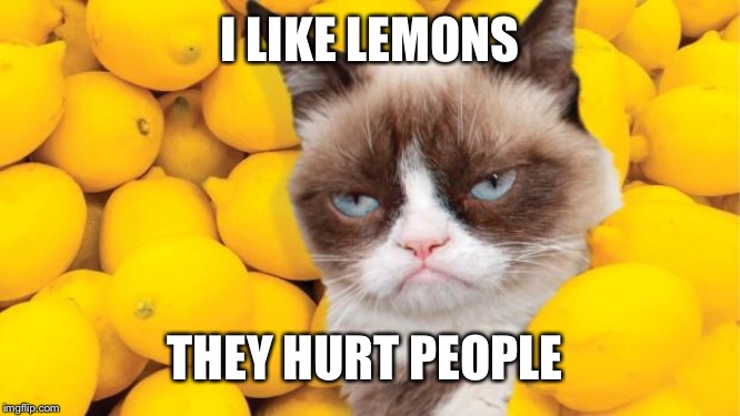 Grumpy Cat lemons | I LIKE LEMONS; THEY HURT PEOPLE | image tagged in grumpy cat lemons | made w/ Imgflip meme maker