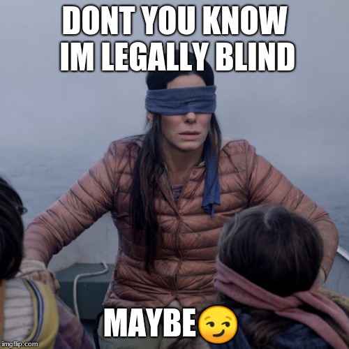 Bird Box Meme | DONT YOU KNOW IM LEGALLY BLIND; MAYBE😏 | image tagged in memes,bird box | made w/ Imgflip meme maker