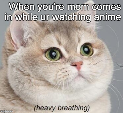 Heavy Breathing Cat | When you're mom comes in while ur watching anime | image tagged in memes,heavy breathing cat | made w/ Imgflip meme maker