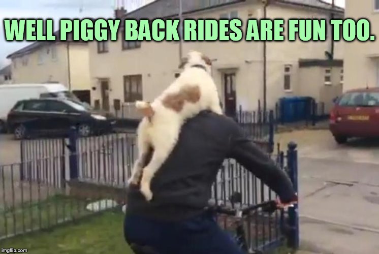 WELL PIGGY BACK RIDES ARE FUN TOO. | made w/ Imgflip meme maker