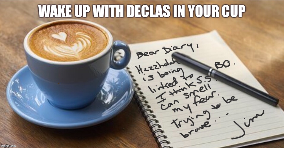 Declas | WAKE UP WITH DECLAS IN YOUR CUP | image tagged in dear diary | made w/ Imgflip meme maker