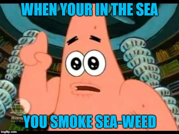 Patrick Says Meme | WHEN YOUR IN THE SEA; YOU SMOKE SEA-WEED | image tagged in memes,patrick says | made w/ Imgflip meme maker