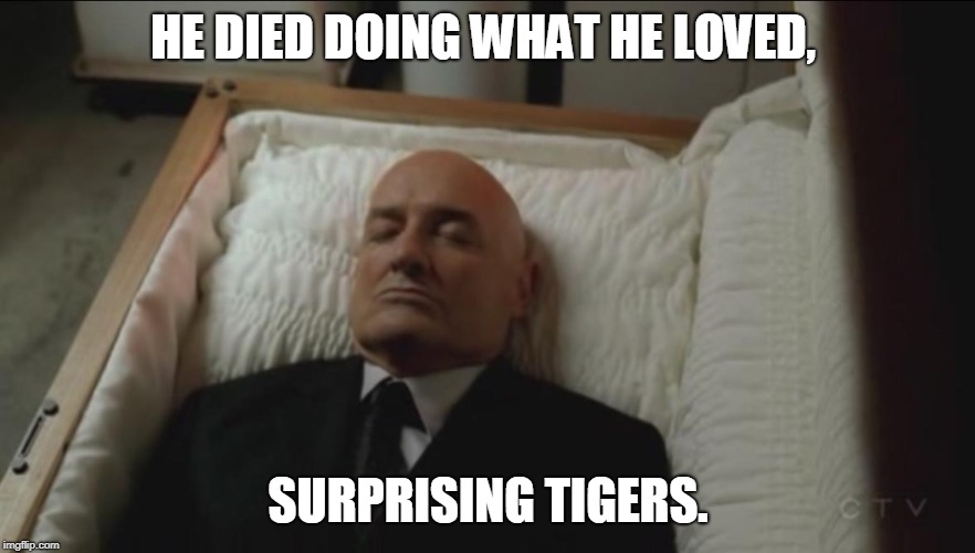 Memes, Coffin, Dead Man | HE DIED DOING WHAT HE LOVED, SURPRISING TIGERS. | image tagged in memes coffin dead man | made w/ Imgflip meme maker