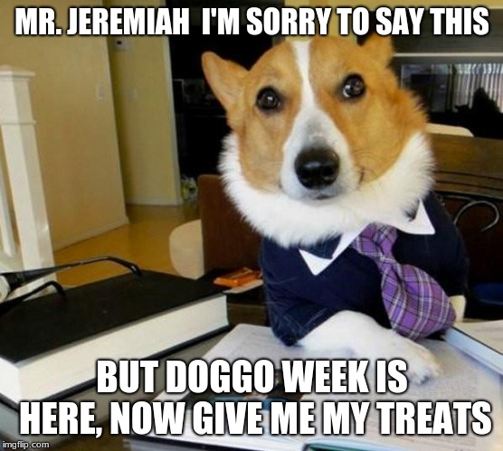 Lawyer Corgi Dog | MR. JEREMIAH  I'M SORRY TO SAY THIS; BUT DOGGO WEEK IS HERE,
NOW GIVE ME MY TREATS | image tagged in lawyer corgi dog | made w/ Imgflip meme maker