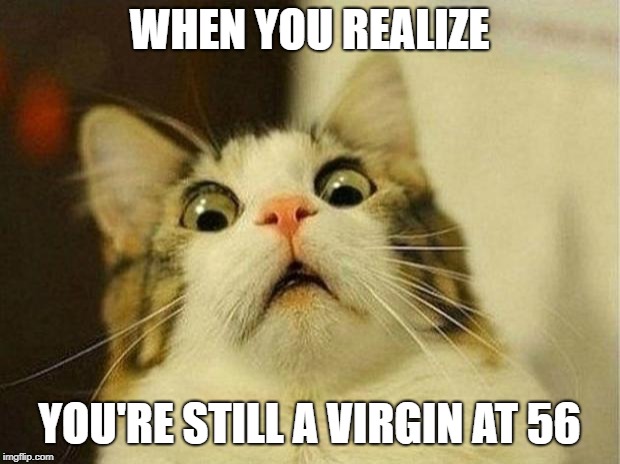Scared Cat Meme | WHEN YOU REALIZE; YOU'RE STILL A VIRGIN AT 56 | image tagged in memes,scared cat | made w/ Imgflip meme maker