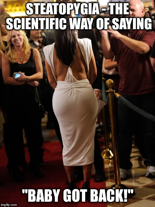 I like big butts and I cannot lie! | STEATOPYGIA - THE SCIENTIFIC WAY OF SAYING; "BABY GOT BACK!" | image tagged in humor,steatopygia,big butts,baby got back,sir mix alot,kim kardashian | made w/ Imgflip meme maker