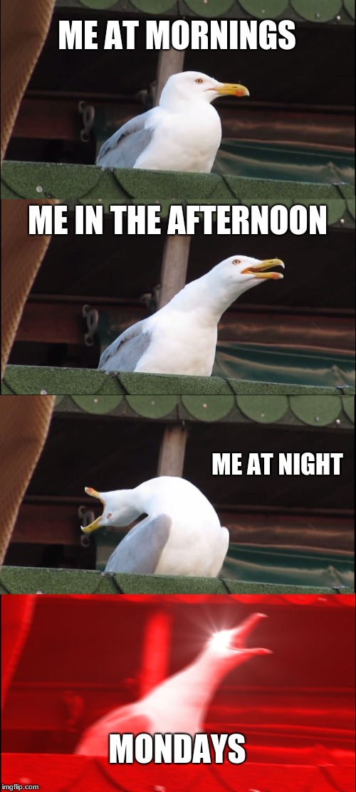 Inhaling Seagull Meme | ME AT MORNINGS; ME IN THE AFTERNOON; ME AT NIGHT; MONDAYS | image tagged in memes,inhaling seagull | made w/ Imgflip meme maker