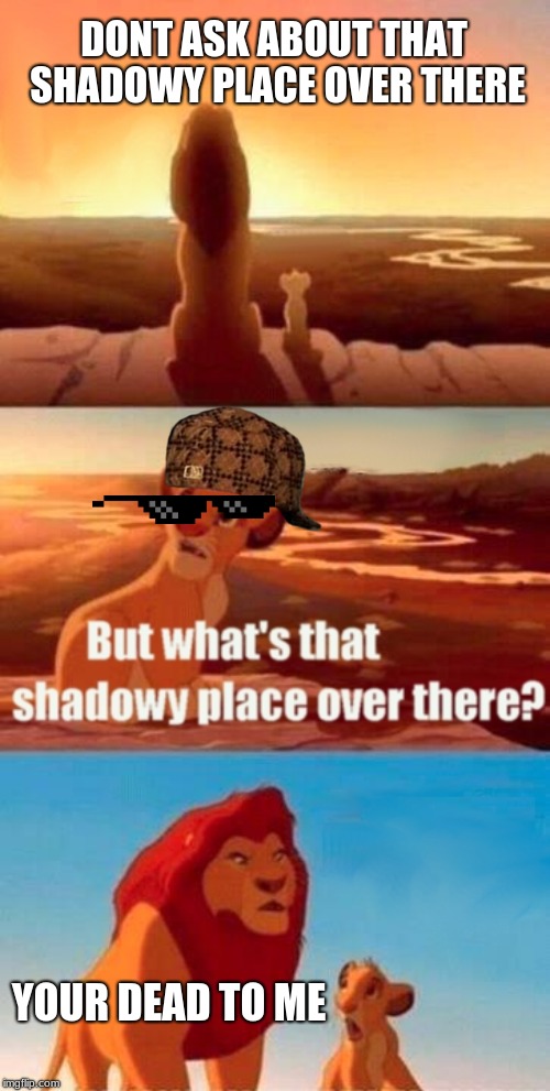Simba Shadowy Place Meme | DONT ASK ABOUT THAT SHADOWY PLACE OVER THERE; YOUR DEAD TO ME | image tagged in memes,simba shadowy place | made w/ Imgflip meme maker