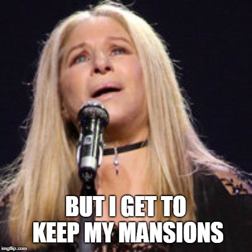 Streisand | BUT I GET TO KEEP MY MANSIONS | image tagged in streisand | made w/ Imgflip meme maker