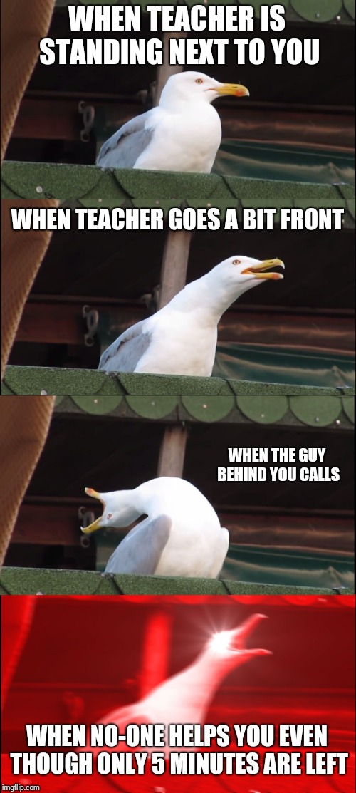 Inhaling Seagull Meme | WHEN TEACHER IS STANDING NEXT TO YOU; WHEN TEACHER GOES A BIT FRONT; WHEN THE GUY BEHIND YOU CALLS; WHEN NO-ONE HELPS YOU EVEN THOUGH ONLY 5 MINUTES ARE LEFT | image tagged in memes,inhaling seagull | made w/ Imgflip meme maker