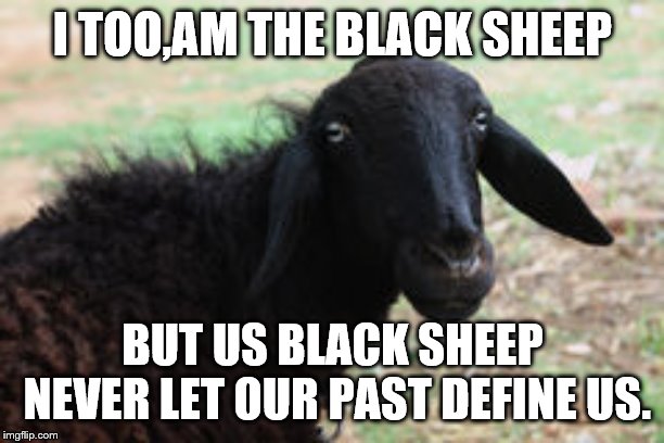 black sheep | I TOO,AM THE BLACK SHEEP BUT US BLACK SHEEP NEVER LET OUR PAST DEFINE US. | image tagged in black sheep | made w/ Imgflip meme maker
