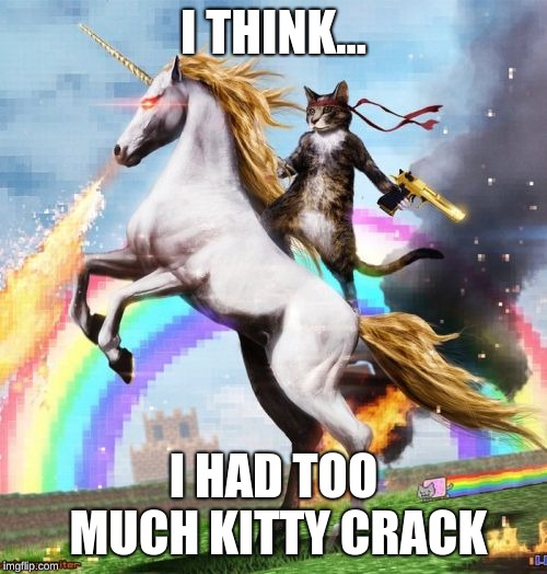 Welcome To The Internets Meme | I THINK... I HAD TOO MUCH KITTY CRACK | image tagged in memes,welcome to the internets | made w/ Imgflip meme maker