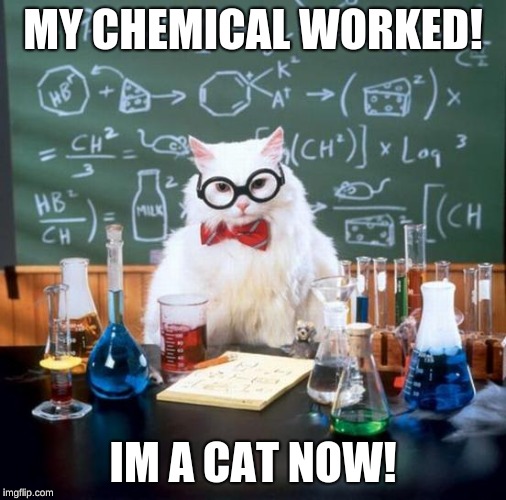 Chemistry Cat | MY CHEMICAL WORKED! IM A CAT NOW! | image tagged in memes,chemistry cat | made w/ Imgflip meme maker