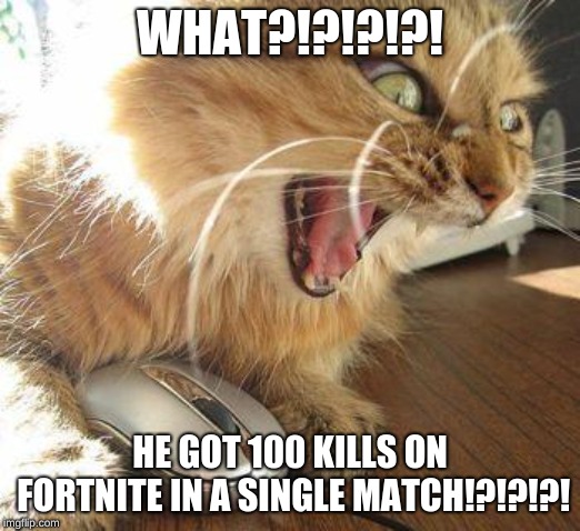 angry cat | WHAT?!?!?!?! HE GOT 100 KILLS ON FORTNITE IN A SINGLE MATCH!?!?!?! | image tagged in angry cat | made w/ Imgflip meme maker