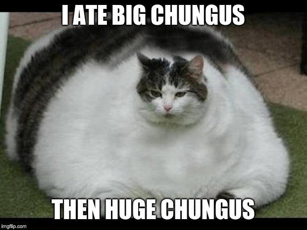 fat cat 2 | I ATE BIG CHUNGUS; THEN HUGE CHUNGUS | image tagged in fat cat 2 | made w/ Imgflip meme maker