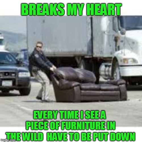 You would think there is some guy out there that would take it in | BREAKS MY HEART; EVERY TIME I SEE A PIECE OF FURNITURE IN THE WILD  HAVE TO BE PUT DOWN | image tagged in joke,humor,funny | made w/ Imgflip meme maker