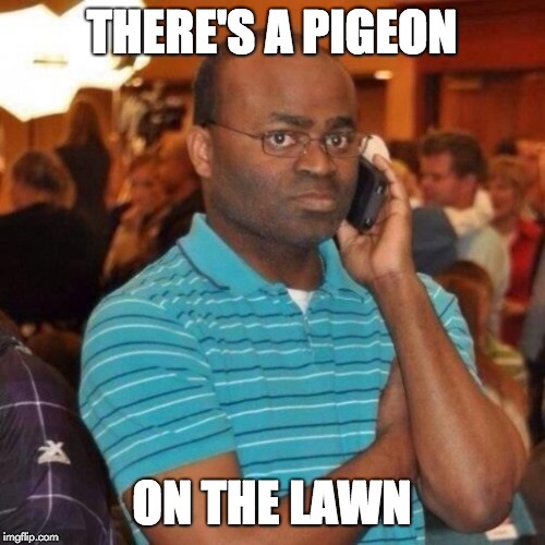 Calling the police | THERE'S A PIGEON ON THE LAWN | image tagged in calling the police | made w/ Imgflip meme maker