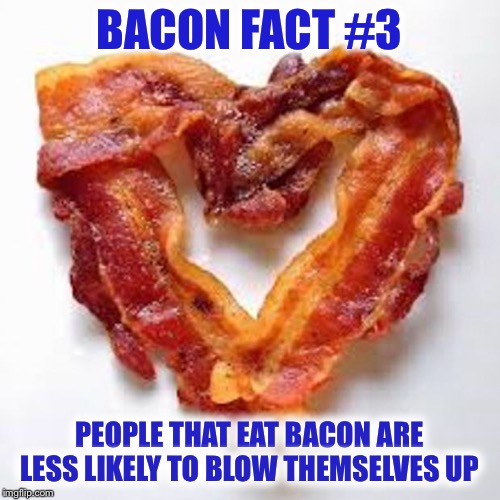 So eat some bacon every day! | BACON FACT #3; PEOPLE THAT EAT BACON ARE LESS LIKELY TO BLOW THEMSELVES UP | image tagged in bacon,breakfast | made w/ Imgflip meme maker