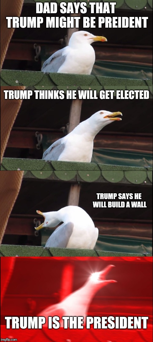 Inhaling Seagull | DAD SAYS THAT TRUMP MIGHT BE PREIDENT; TRUMP THINKS HE WILL GET ELECTED; TRUMP SAYS HE WILL BUILD A WALL; TRUMP IS THE PRESIDENT | image tagged in memes,inhaling seagull | made w/ Imgflip meme maker