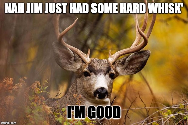 deer meme | NAH JIM JUST HAD SOME HARD WHISK' I'M GOOD | image tagged in deer meme | made w/ Imgflip meme maker