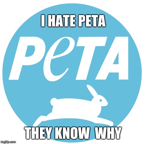 i hate peta | I HATE PETA; THEY KNOW  WHY | image tagged in peta | made w/ Imgflip meme maker