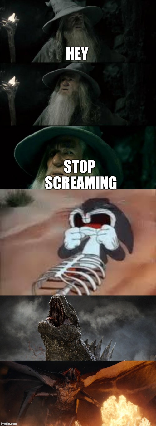 HEY; STOP SCREAMING | image tagged in memes,confused gandalf | made w/ Imgflip meme maker