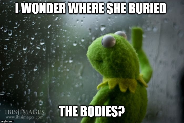 kermit window | I WONDER WHERE SHE BURIED THE BODIES? | image tagged in kermit window | made w/ Imgflip meme maker