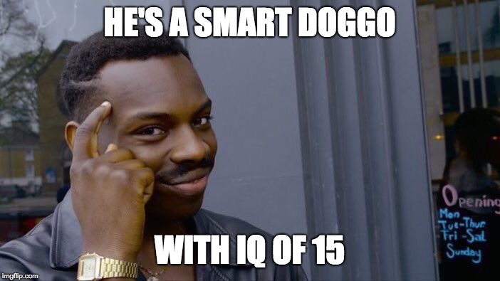 HE'S A SMART DOGGO WITH IQ OF 15 | image tagged in memes,roll safe think about it | made w/ Imgflip meme maker