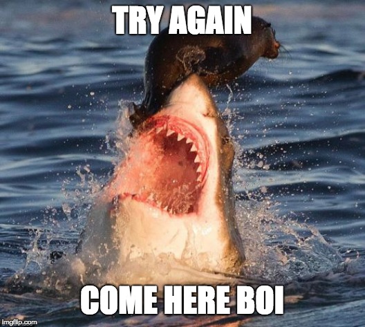 Travelonshark | TRY AGAIN; COME HERE BOI | image tagged in memes,travelonshark | made w/ Imgflip meme maker