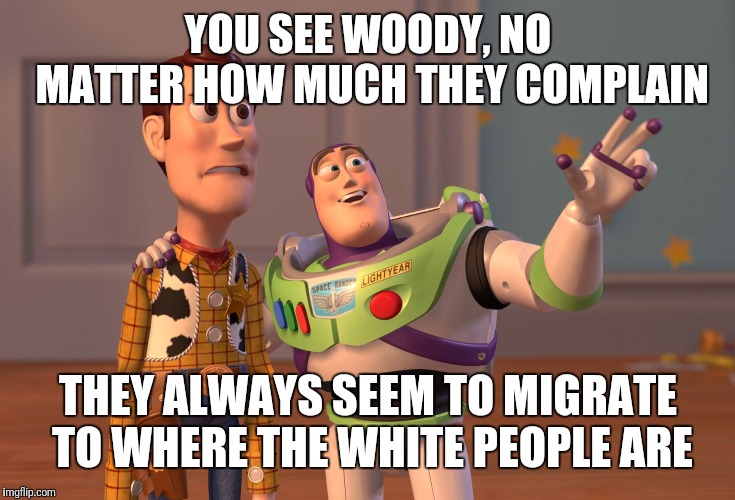 X, X Everywhere | YOU SEE WOODY, NO MATTER HOW MUCH THEY COMPLAIN; THEY ALWAYS SEEM TO MIGRATE TO WHERE THE WHITE PEOPLE ARE | image tagged in memes,x x everywhere | made w/ Imgflip meme maker