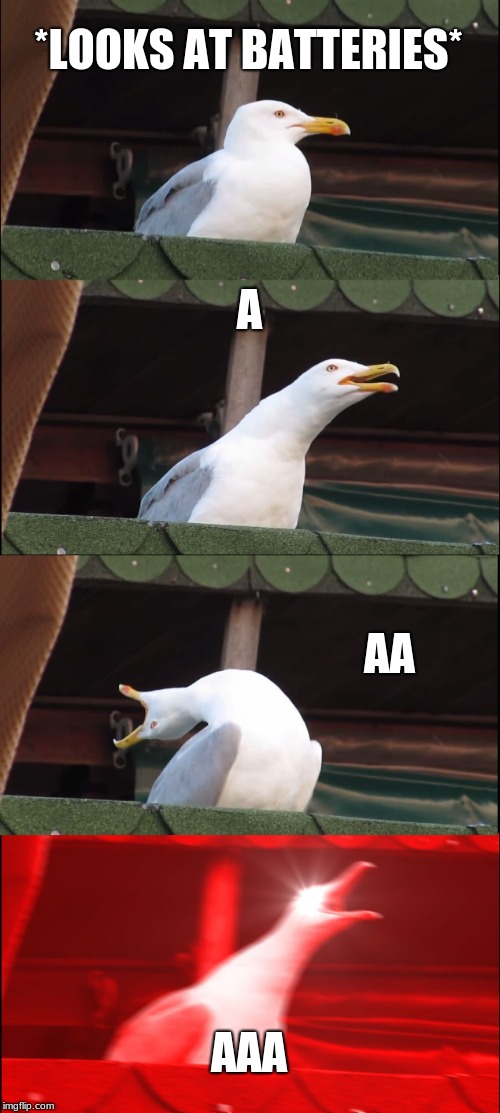 Inhaling Seagull | *LOOKS AT BATTERIES*; A; AA; AAA | image tagged in memes,inhaling seagull | made w/ Imgflip meme maker