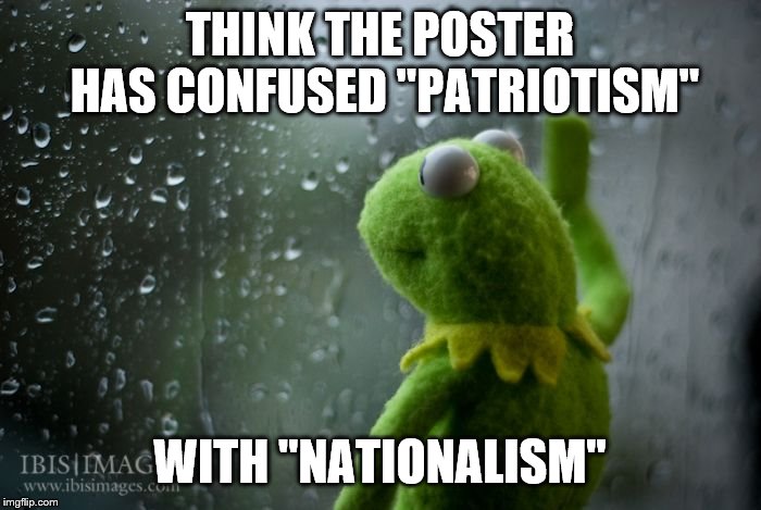 kermit window | THINK THE POSTER HAS CONFUSED "PATRIOTISM" WITH "NATIONALISM" | image tagged in kermit window | made w/ Imgflip meme maker