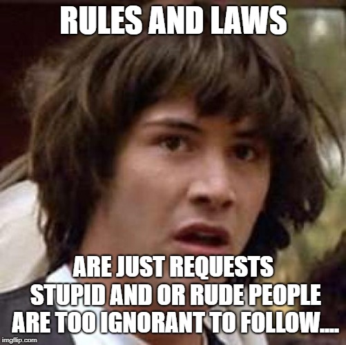 keanu Reeves  | RULES AND LAWS; ARE JUST REQUESTS STUPID AND OR RUDE PEOPLE ARE TOO IGNORANT TO FOLLOW.... | image tagged in keanu reeves | made w/ Imgflip meme maker