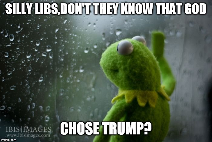 kermit window | SILLY LIBS,DON'T THEY KNOW THAT GOD CHOSE TRUMP? | image tagged in kermit window | made w/ Imgflip meme maker