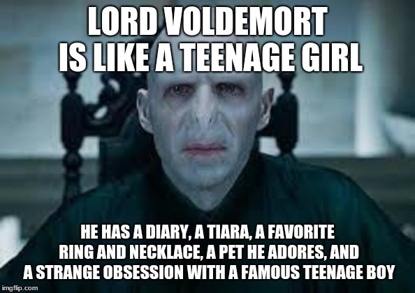LORD VOLDEMORT IS LIKE A TEENAGE GIRL; HE HAS A DIARY, A TIARA, A FAVORITE RING AND NECKLACE, A PET HE ADORES, AND A STRANGE OBSESSION WITH A FAMOUS TEENAGE BOY | image tagged in lord voldemort | made w/ Imgflip meme maker