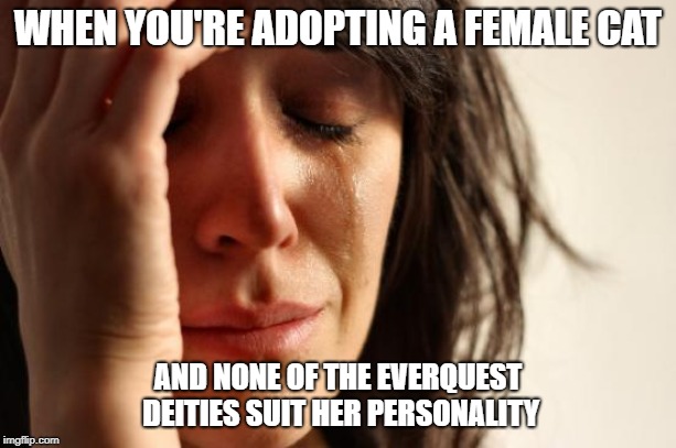 First World Problems Meme | WHEN YOU'RE ADOPTING A FEMALE CAT; AND NONE OF THE EVERQUEST DEITIES SUIT HER PERSONALITY | image tagged in memes,first world problems | made w/ Imgflip meme maker