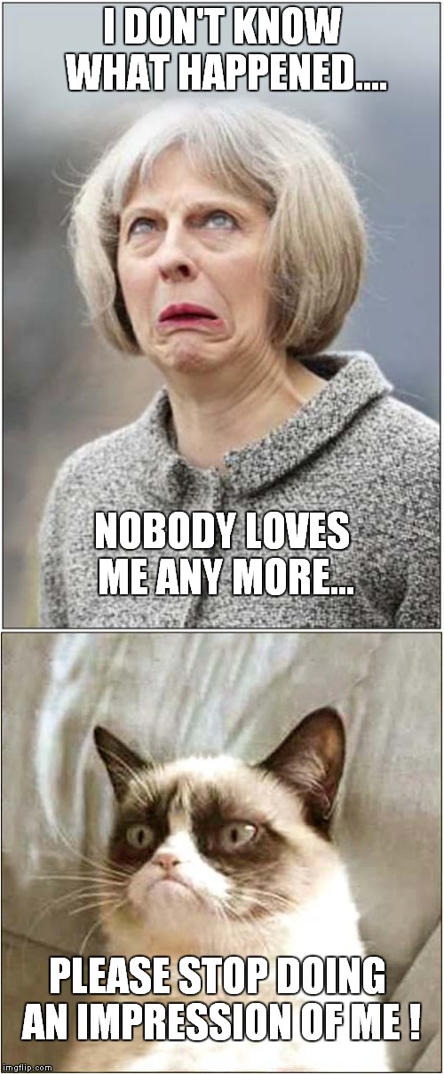 May Can Do Impressions | I DON'T KNOW WHAT HAPPENED.... NOBODY LOVES ME ANY MORE... PLEASE STOP DOING AN IMPRESSION OF ME ! | image tagged in theresa may,political meme,grumpy cat | made w/ Imgflip meme maker