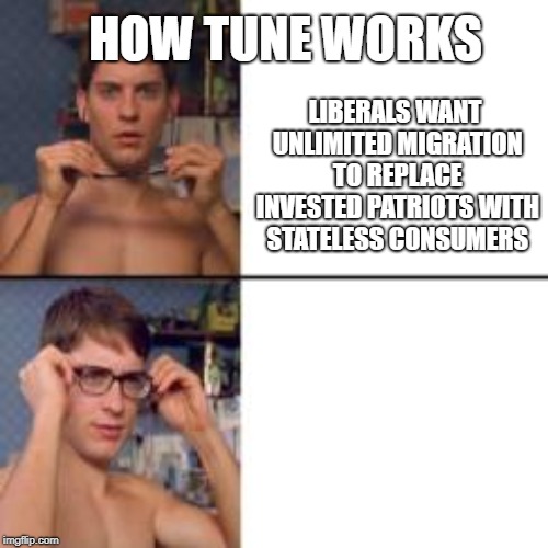 Peter Parker Glasses | HOW TUNE WORKS; LIBERALS WANT UNLIMITED MIGRATION TO REPLACE INVESTED PATRIOTS WITH STATELESS CONSUMERS | image tagged in peter parker glasses | made w/ Imgflip meme maker