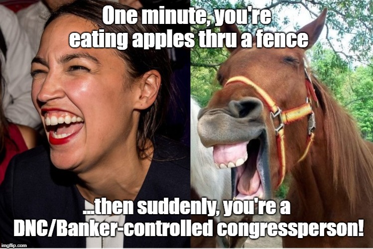 AOC horse face Alexandria Ocasio-Cortez | One minute, you're eating apples thru a fence; ...then suddenly, you're a DNC/Banker-controlled congressperson! | image tagged in aoc horse face alexandria ocasio-cortez | made w/ Imgflip meme maker