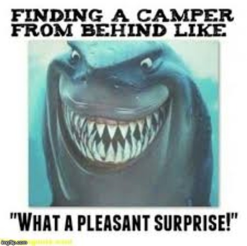 Fortnite Campers | image tagged in campers,fortnite,memes,gaming | made w/ Imgflip meme maker