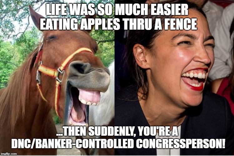 AOC horse face Alexandria Ocasio-Cortez | LIFE WAS SO MUCH EASIER EATING APPLES THRU A FENCE; ...THEN SUDDENLY, YOU'RE A DNC/BANKER-CONTROLLED CONGRESSPERSON! | image tagged in aoc horse face alexandria ocasio-cortez | made w/ Imgflip meme maker