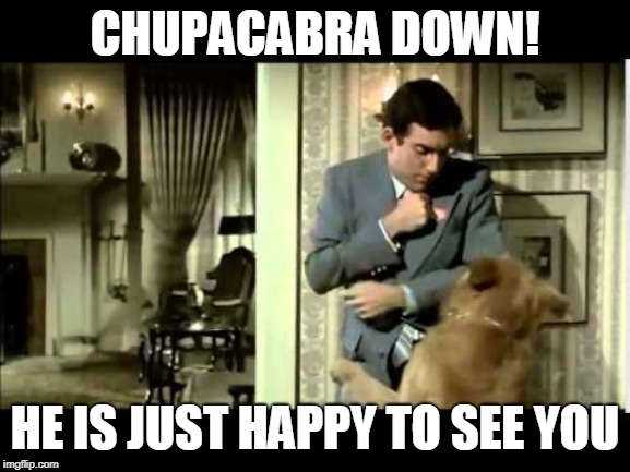CHUPACABRA DOWN! HE IS JUST HAPPY TO SEE YOU | made w/ Imgflip meme maker