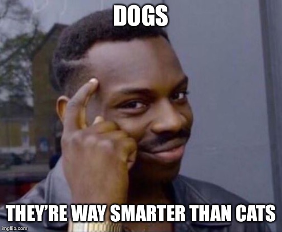 black guy pointing at head | DOGS THEY’RE WAY SMARTER THAN CATS | image tagged in black guy pointing at head | made w/ Imgflip meme maker