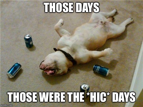 drunk dog | THOSE DAYS THOSE WERE THE *HIC* DAYS | image tagged in drunk dog | made w/ Imgflip meme maker